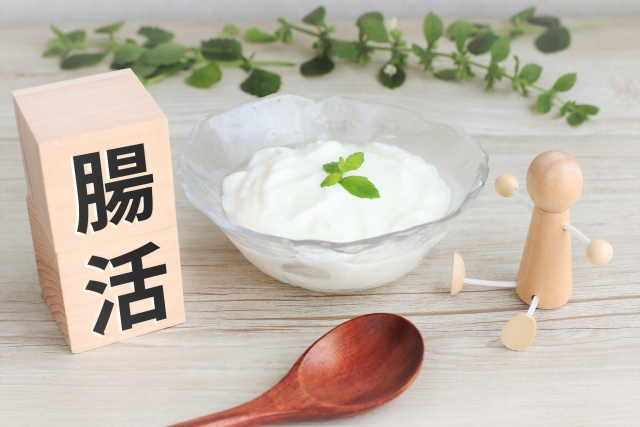 しほのヘルシー食堂グリークヨーグルト韓国スイーツ韓国腸活レシピレシピ紹介管理栄養士調理師健康食高たんぱくヨーグルトレシピダイエットレシピヘルシースイーツ그릭요거트건강식단백질가득요거트사랑피트니스푸드greekyogurtfitnessrecipeshealthyfood