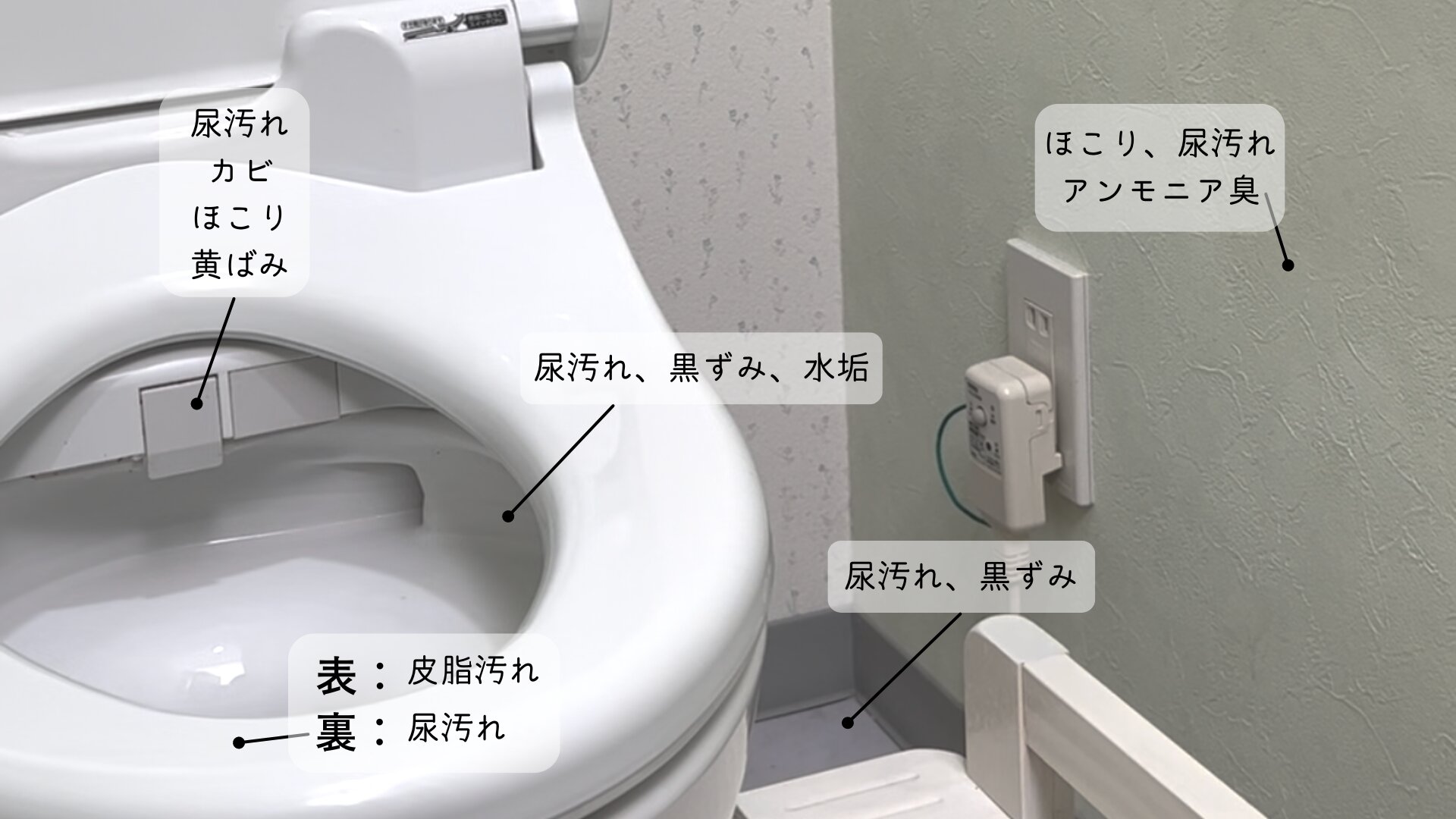 トイレ掃除」汚れもニオイもスッキリ！場所別掃除のコツ決定版！Lidea リディアby LION