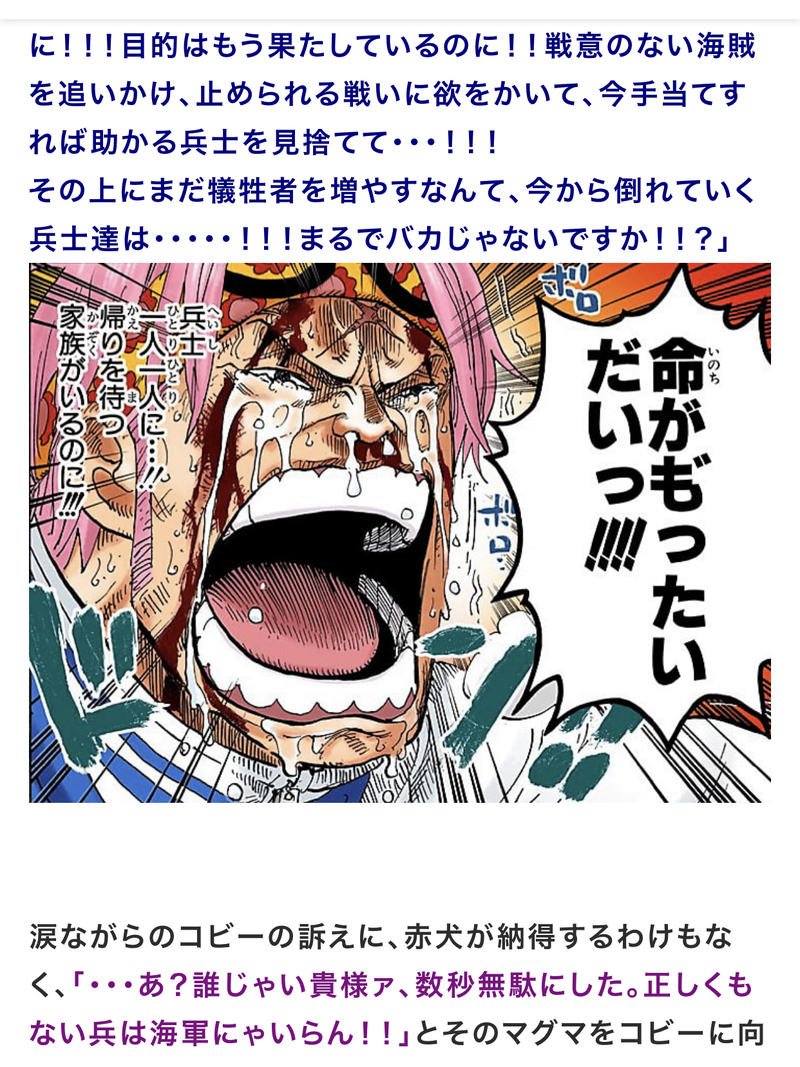 ワンピース考察 コビーの勇気Metis