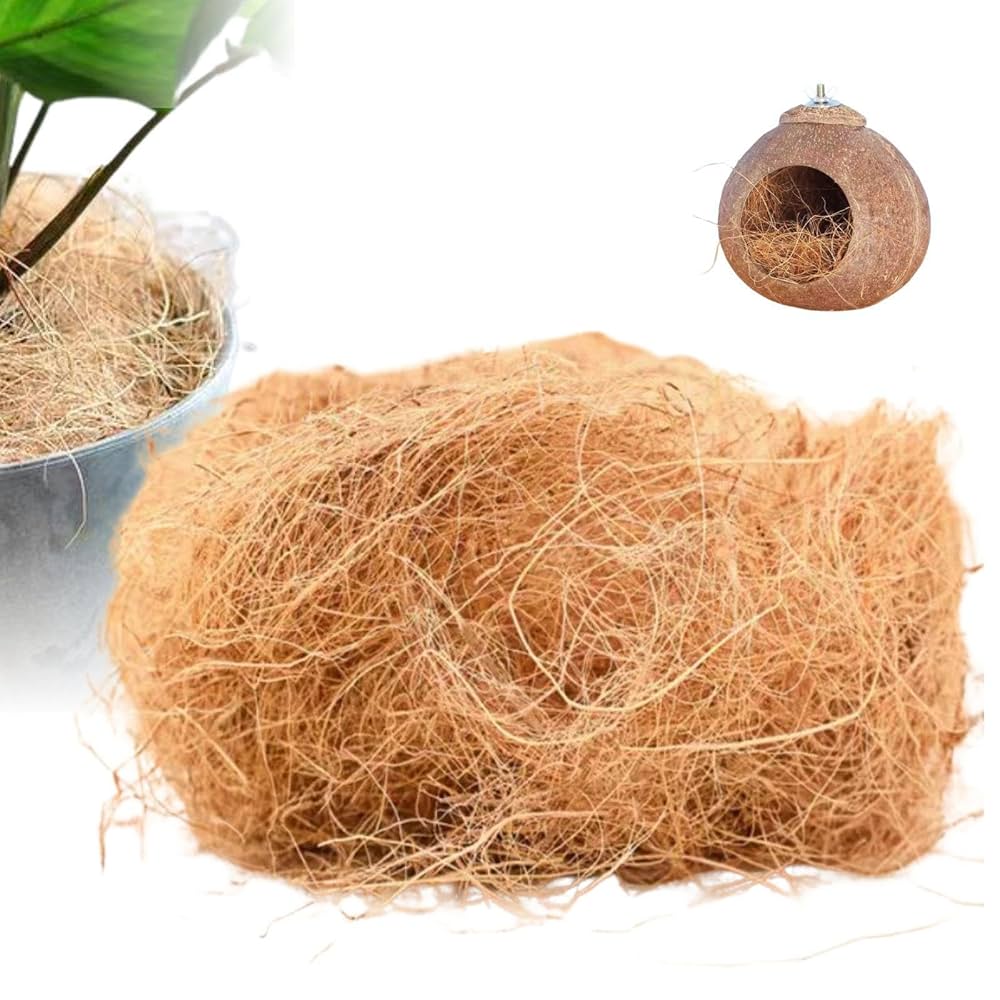 ココファイバー 1kg 人気 おすすめ おしゃれ 天然素材 ココヤシ繊維 天然ヤシ ナチュラル ベージュ マルチング材 スタイリング 観葉植物 根元装飾 園芸用品 : インテリアグリーンと植木鉢の通信販売 - 通販 - Yahoo!ショッピング