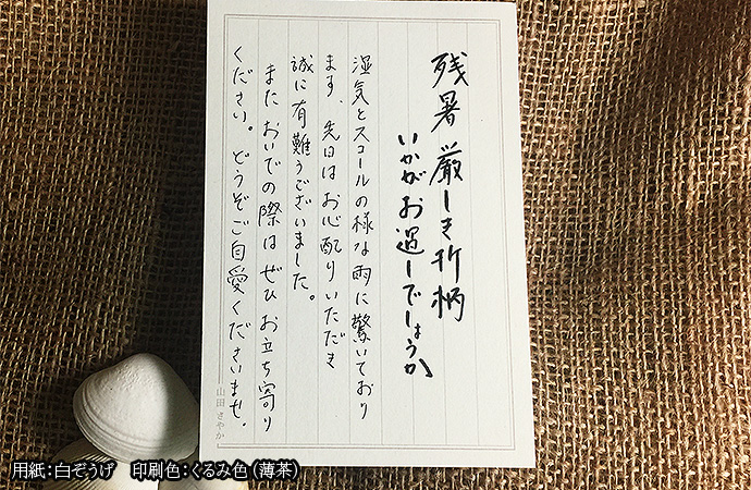 お世話になった方へのコロナあいさつ文,お見舞いの言葉パピレッタ・お名前入りオーダーメイドレターセット