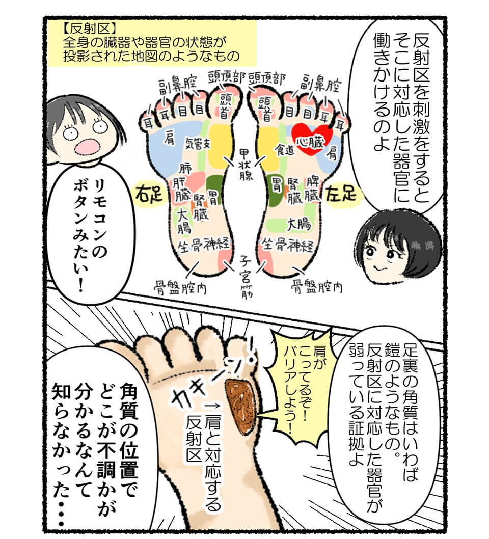 足つぼ 反射区 第１１回 ～小腸～