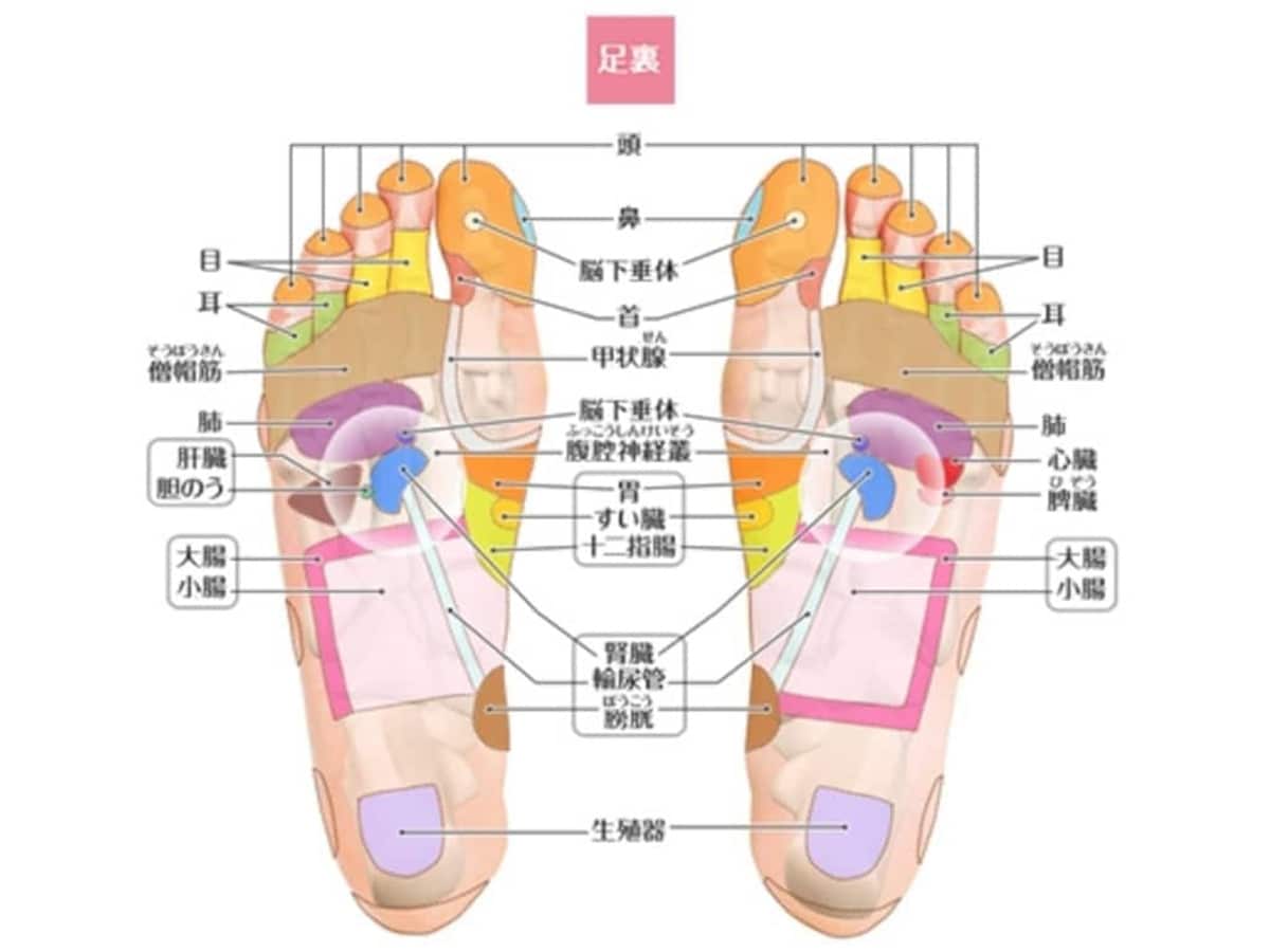 あしうらの痛み。あなたはどこが痛い？種類と場所、原因について