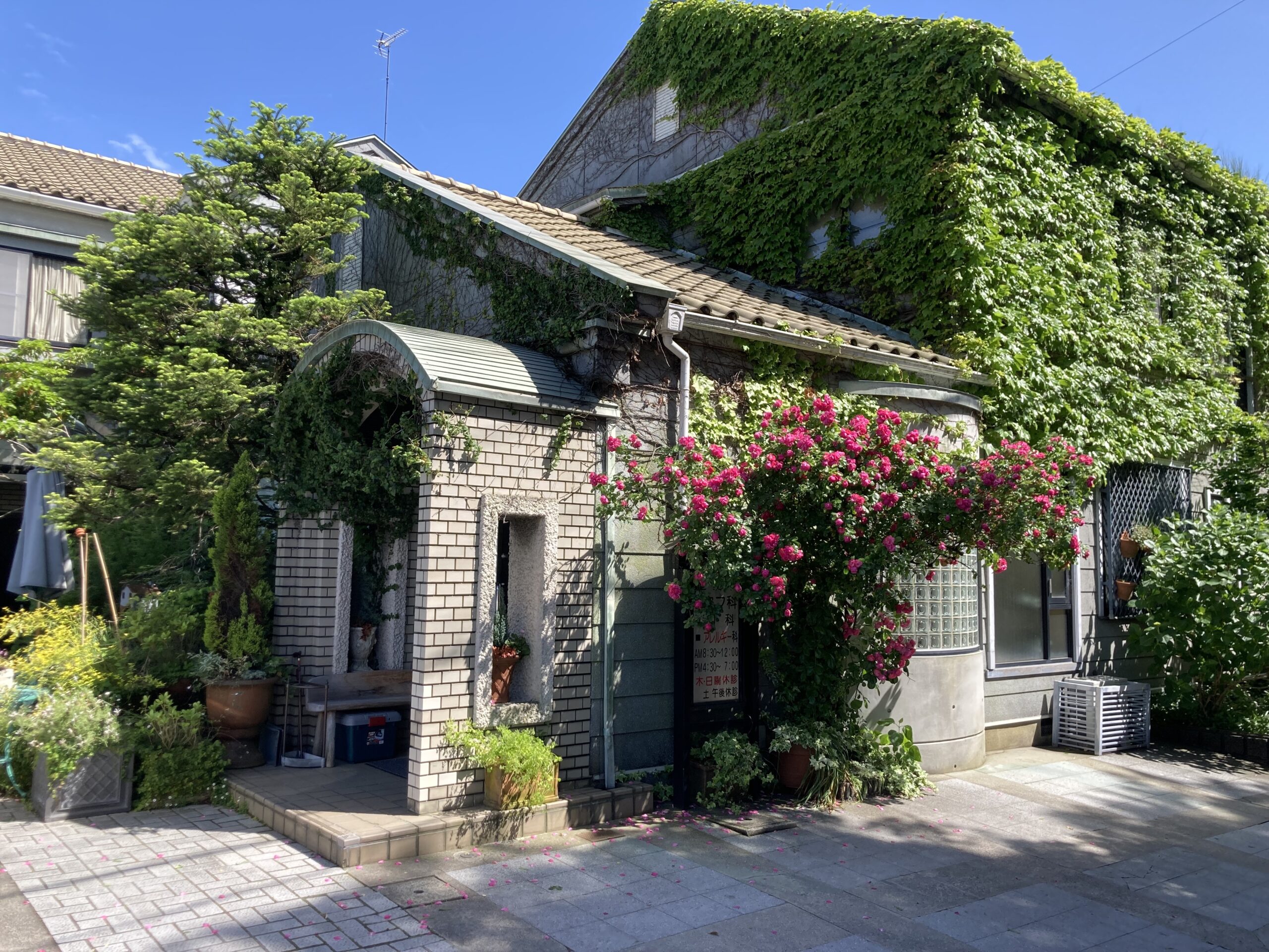 あれから1年。よつ葉医院 上井草では何が起きたのか – 底 剋 頂 ~TEIKOKUTYO