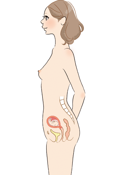 妊娠週数ごとの母体変化は？身体的変化や何週目が一番つらいかを解説DNA先端医療