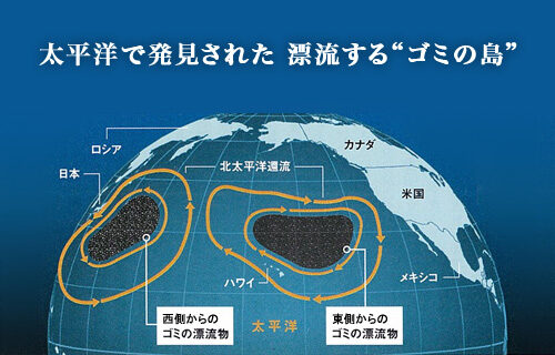 日本は「プラスチック大国」。海洋プラスチックごみは本当は何が問題なのか？ 最新事情を聞いてみた