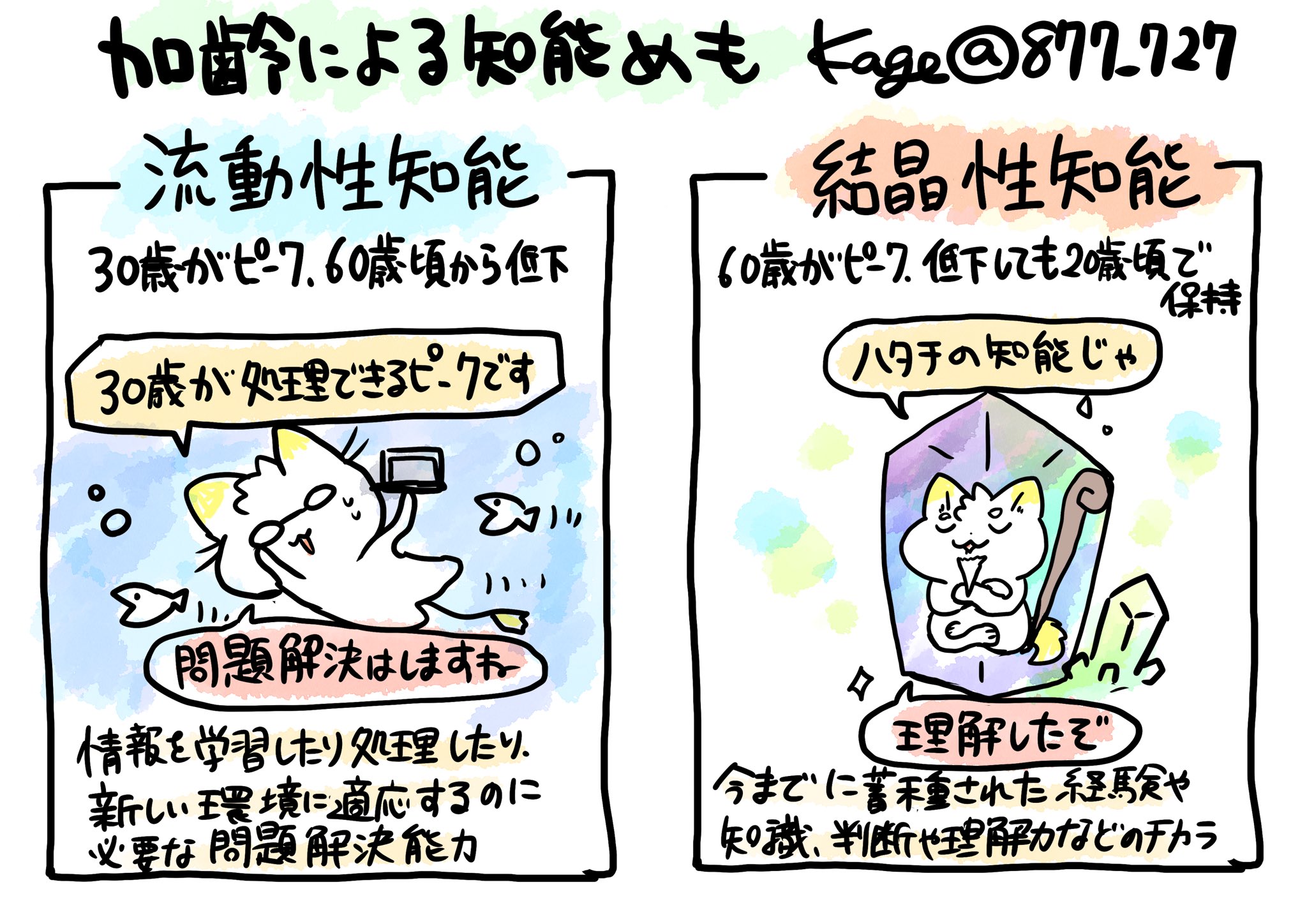 結晶性知能 là gì? Cách đọc, phiên âm & nghĩa của từ 結晶性知能