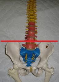 腰椎正面撮影 Lumbar spine AP viewTools for RadTech