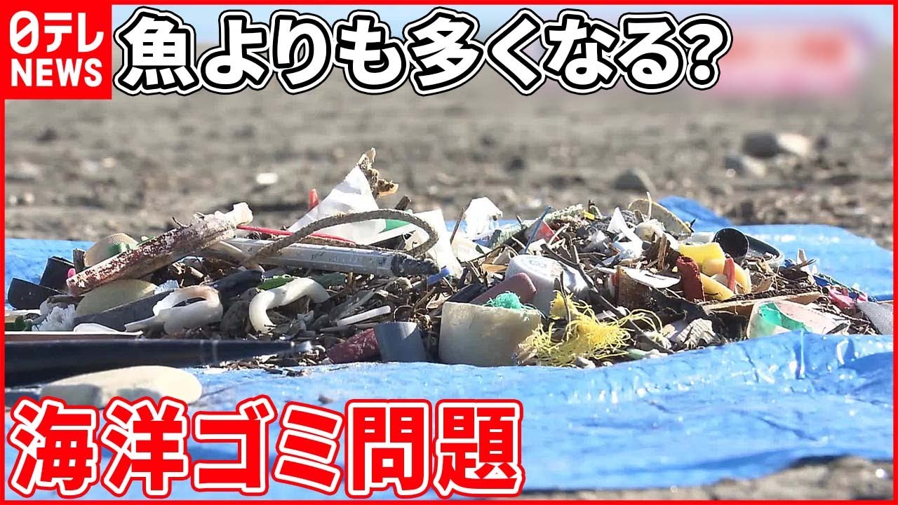 世界の海ゴミ問題 2025年版：8億トンの海洋プラスチックと私たちの未来