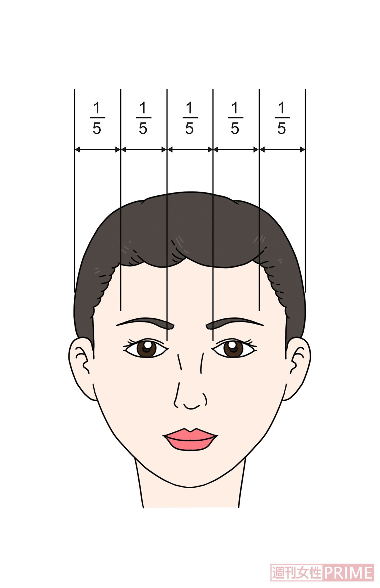 お顔下半分の長さが決める「美人の比率」立野恵梨