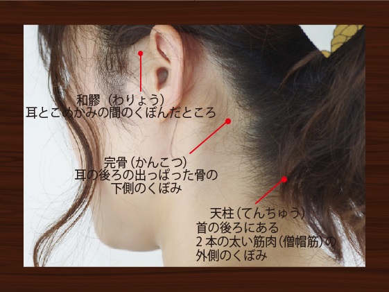 わかりやすい頭のツボの図解イラスト素材・後ろ向き・女性向けのイラスト素材78890458- PIXTA