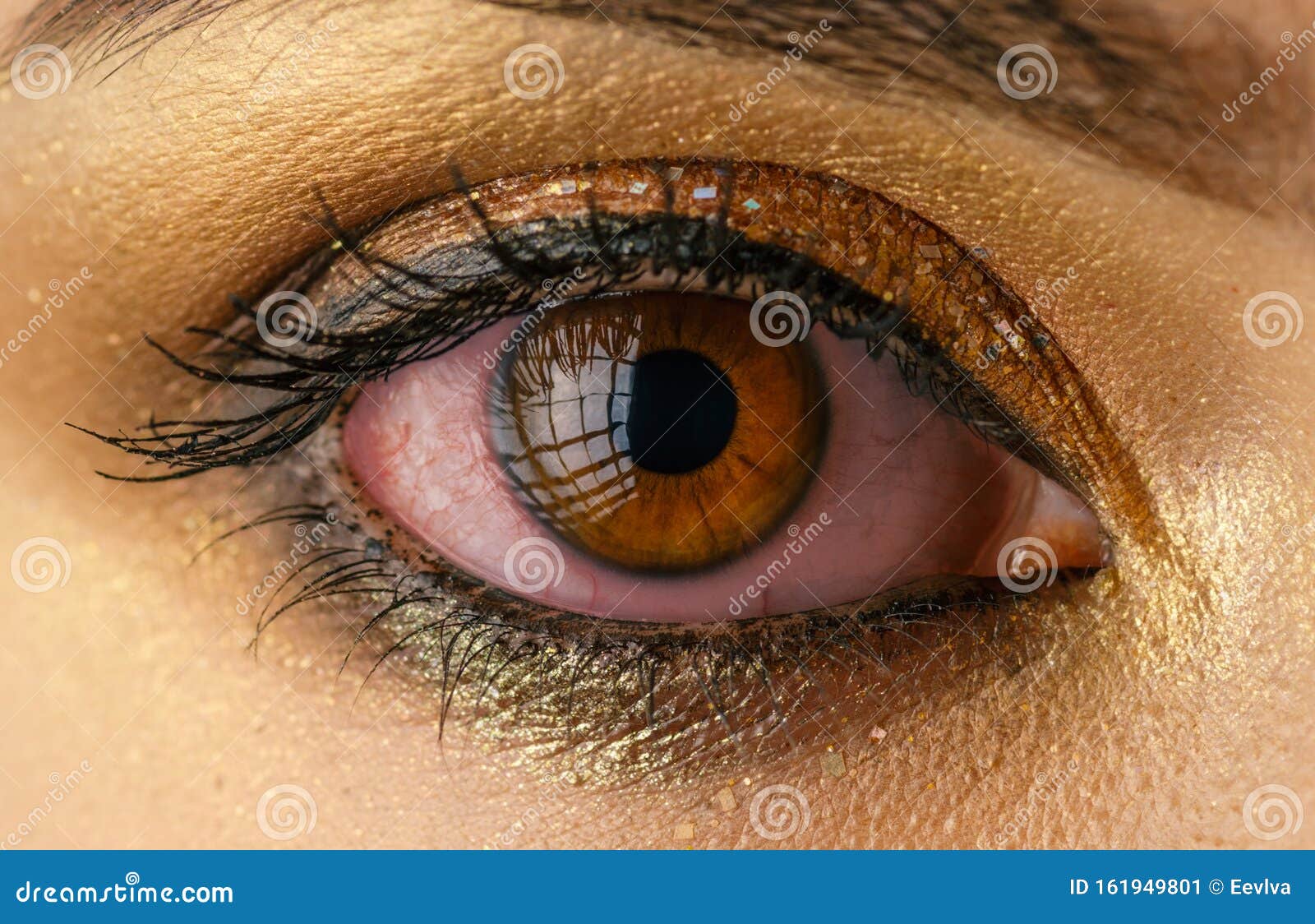 血眼になる の意味と使い方や例文 慣用句– ことわざ・慣用句の百科事典