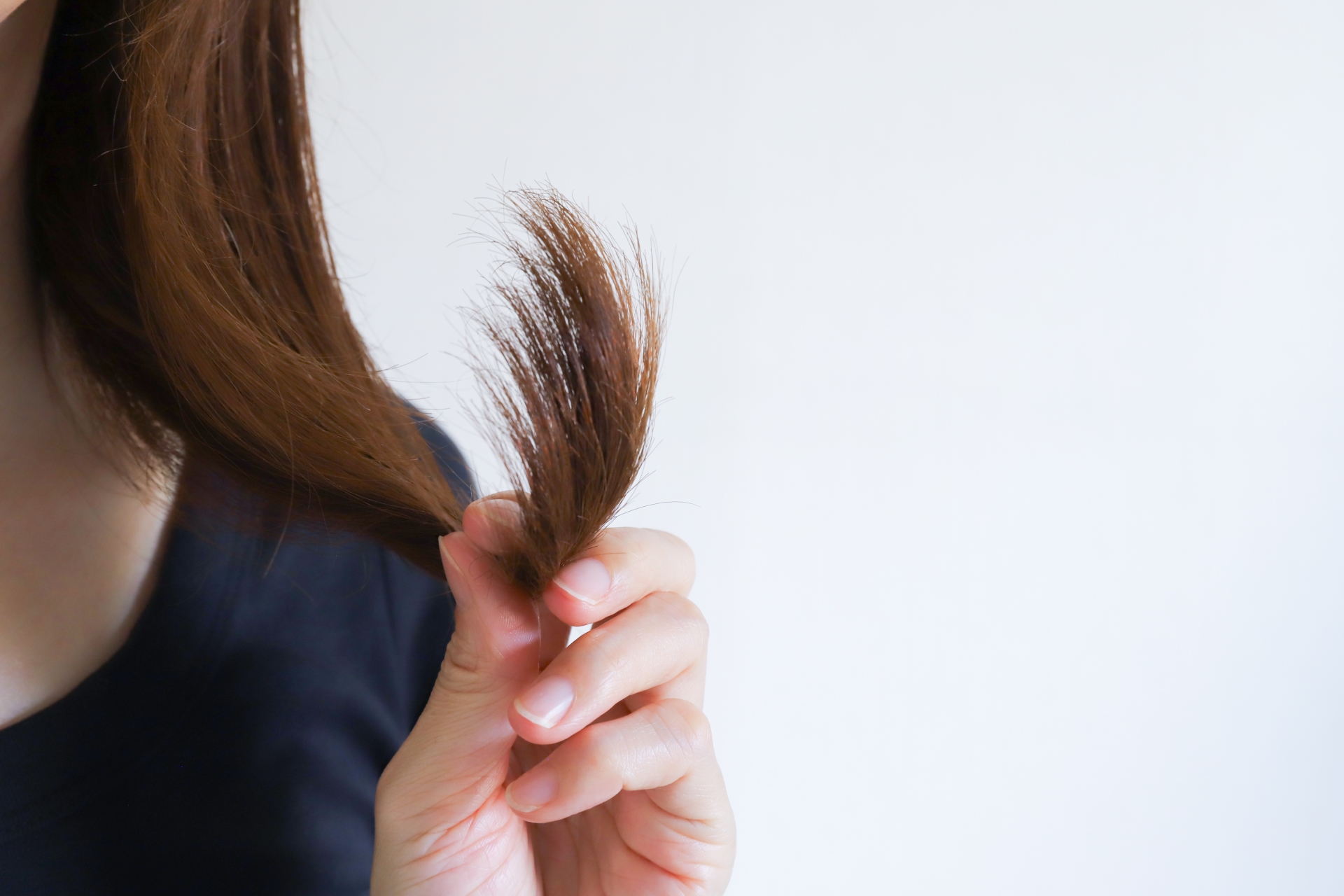 2022年8月更新 髪の毛切りすぎちゃった！ 髪の毛を早く伸ばす方法があるのか現役の美容師さんに聞いてきました!Raku Lab ラクラボ by楽天ビューティ