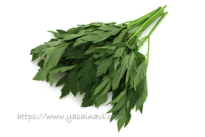 アシタバ江戸東京野菜について東京の農業ＪＡ東京中央会