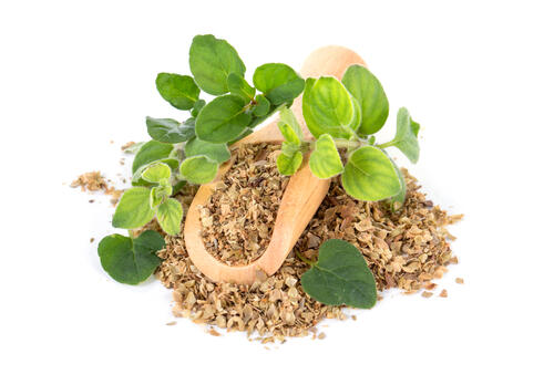 オレガノを使った厳選レシピ9♪ 爽やかな香りで食欲アップ！ - macaroni