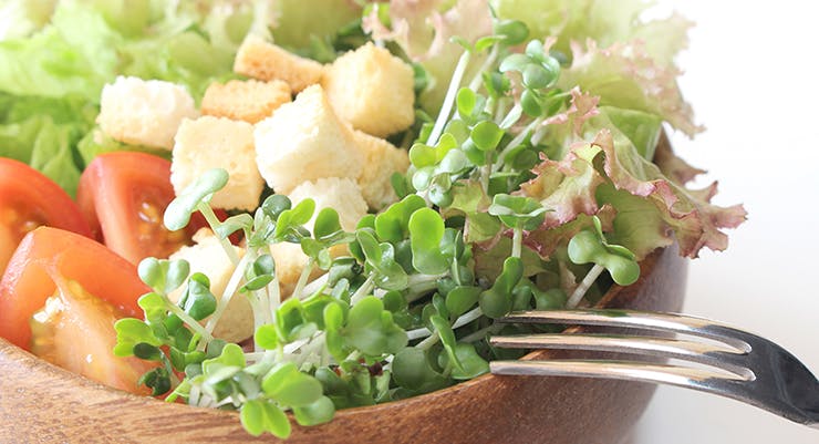 レシピ付き！がん予防の日に食べたいブロッコリースプラウト医療用ウィッグ・かつらのレディススヴェンソン