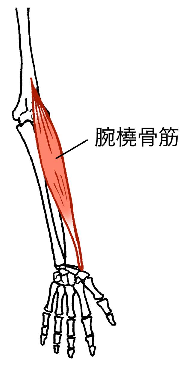 痛みとの勝負ですよねww 腕橈骨筋〜前腕に迫力が出るとやっぱ男らしくてかっこいいと思うので欠かさずやってます！ お互い頑張っていきましょ