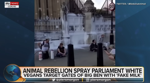 ヴィーガンと口論番組TikTok