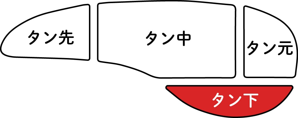 特選牛タン タン中・タン先700g 57016北海道中標津町JRE MALLふるさと納税