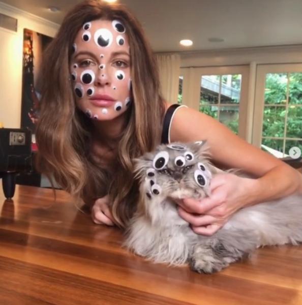 蓮コラがゾワゾワするのはなぜ？ 英エセックス大が研究ねとらぼ