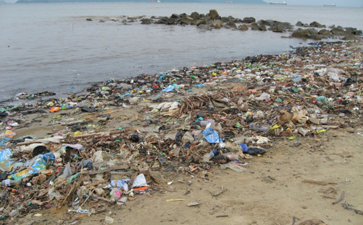 汚染物質「マイクロプラスチック」が大西洋・中深海水層の73％の魚の胃に入っていた - GIGAZINE