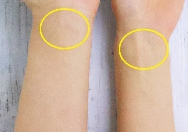 セルフ診断で分かるイエベとブルベの違い