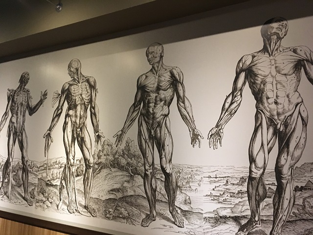 東京国立博物館 広報室 on X: 