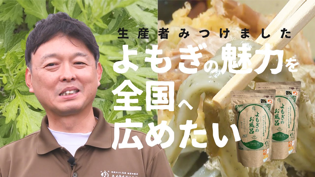 国産よもぎが原料不足。そして私はマンゴーからヨモギ農家に全振りした。沖縄のよもぎ農家BLUMOGIの代表