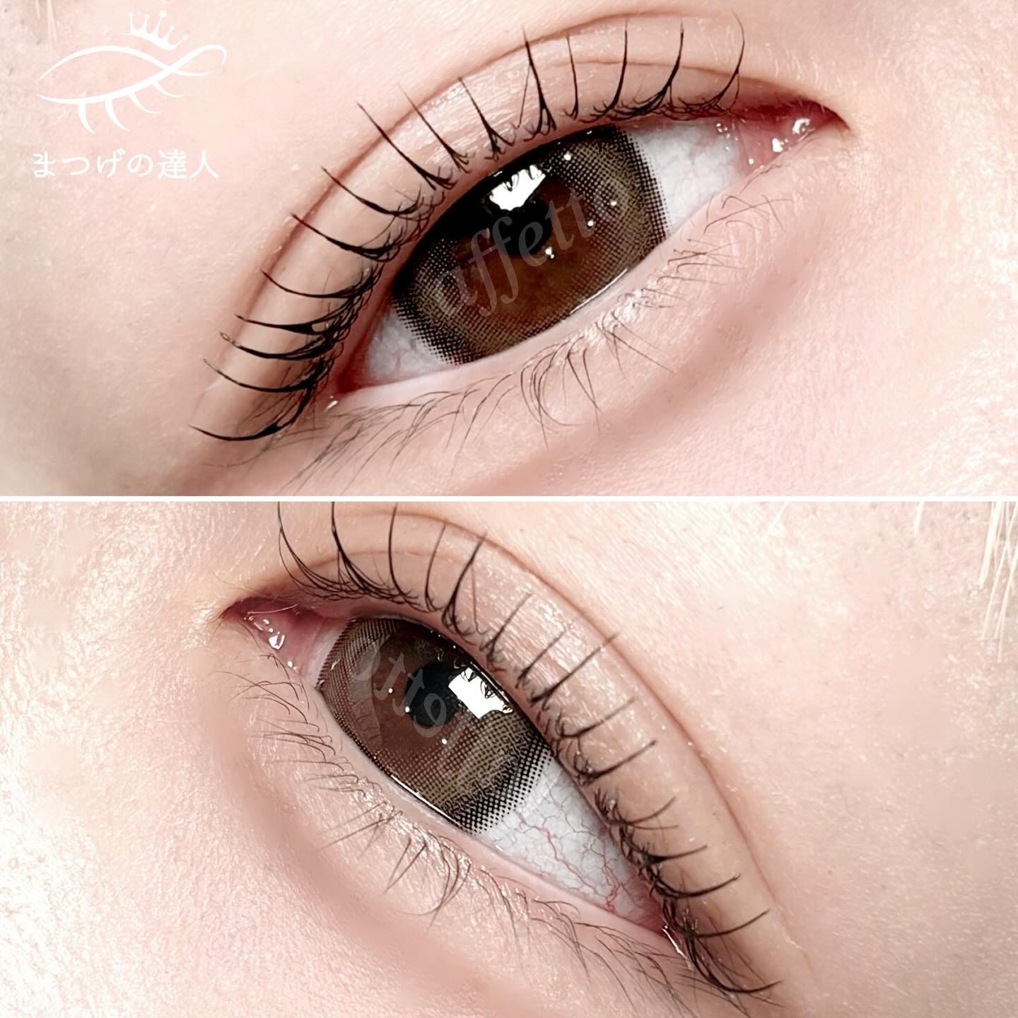 SNSで話題！メーテルロッド＆韓国風まつパとは？まつ毛エクステ まつエク 眉毛専門店 眉毛サロン プラスアイ