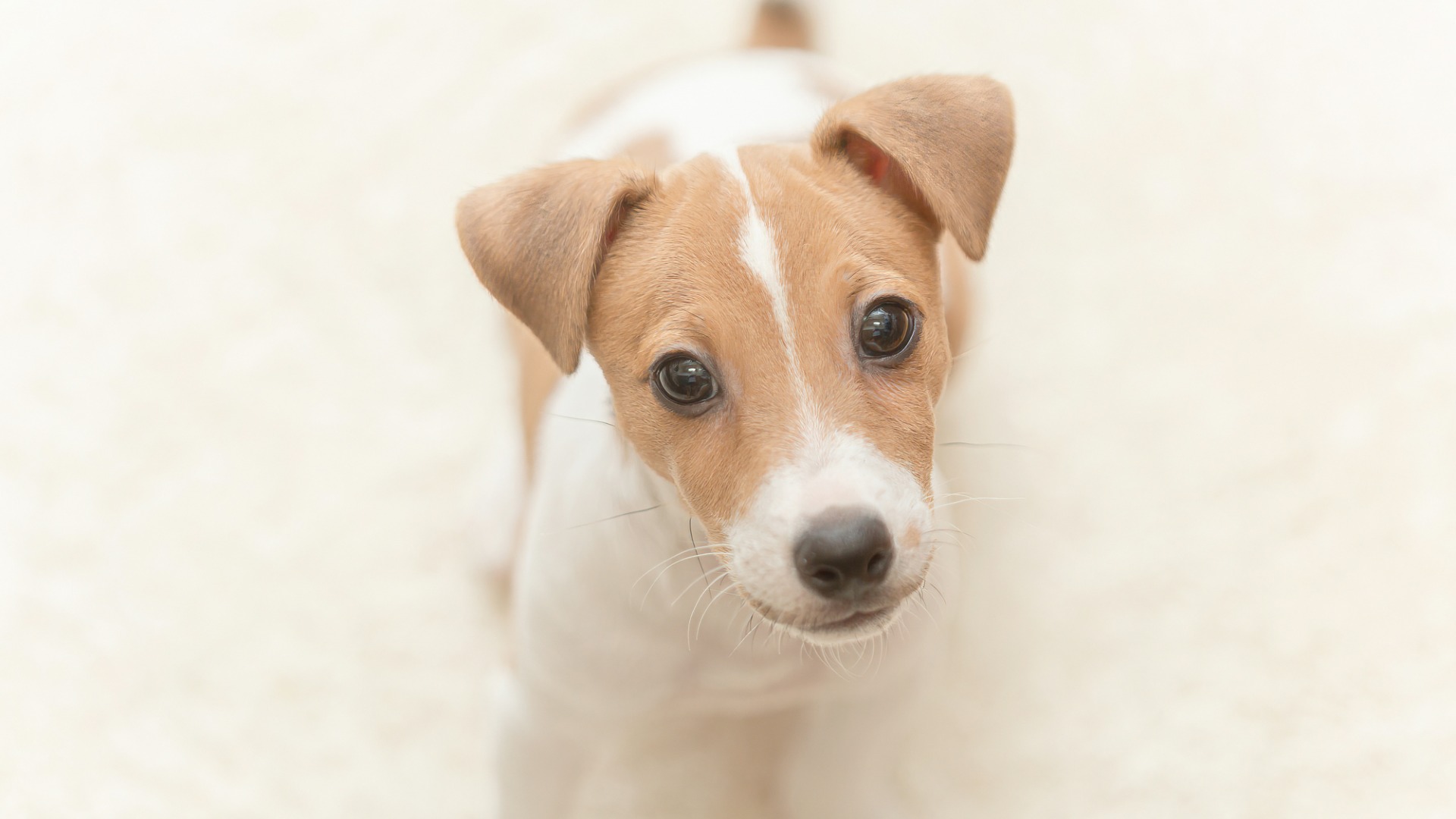 凝視する男性の心理とされた時の対処法を公認心理師が解説‐ダイコミュ人間関係ダイレクトコミュニケーション