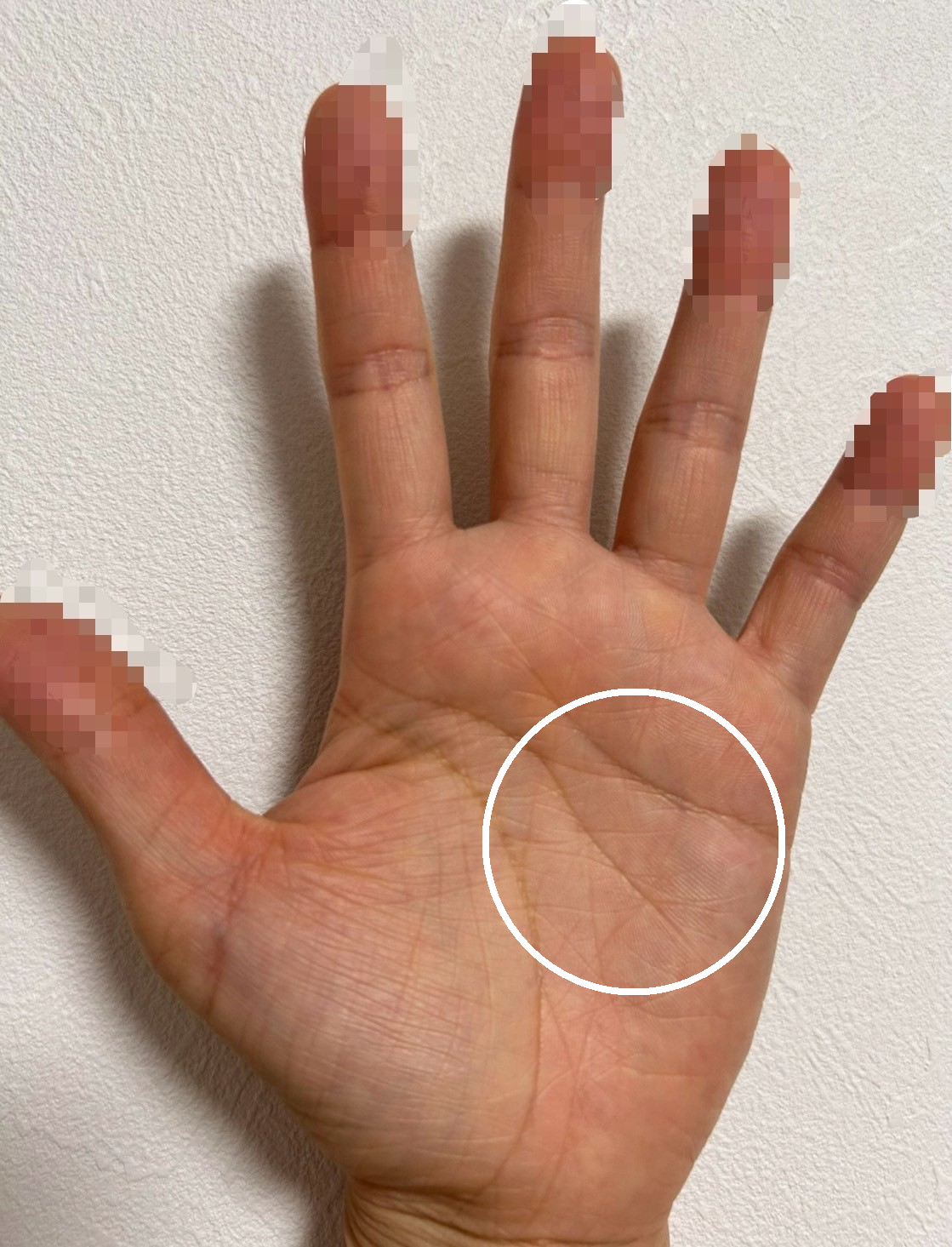 完全網羅 生命線の枝分かれ11パターン紹介！寿命や健康状態が分かる