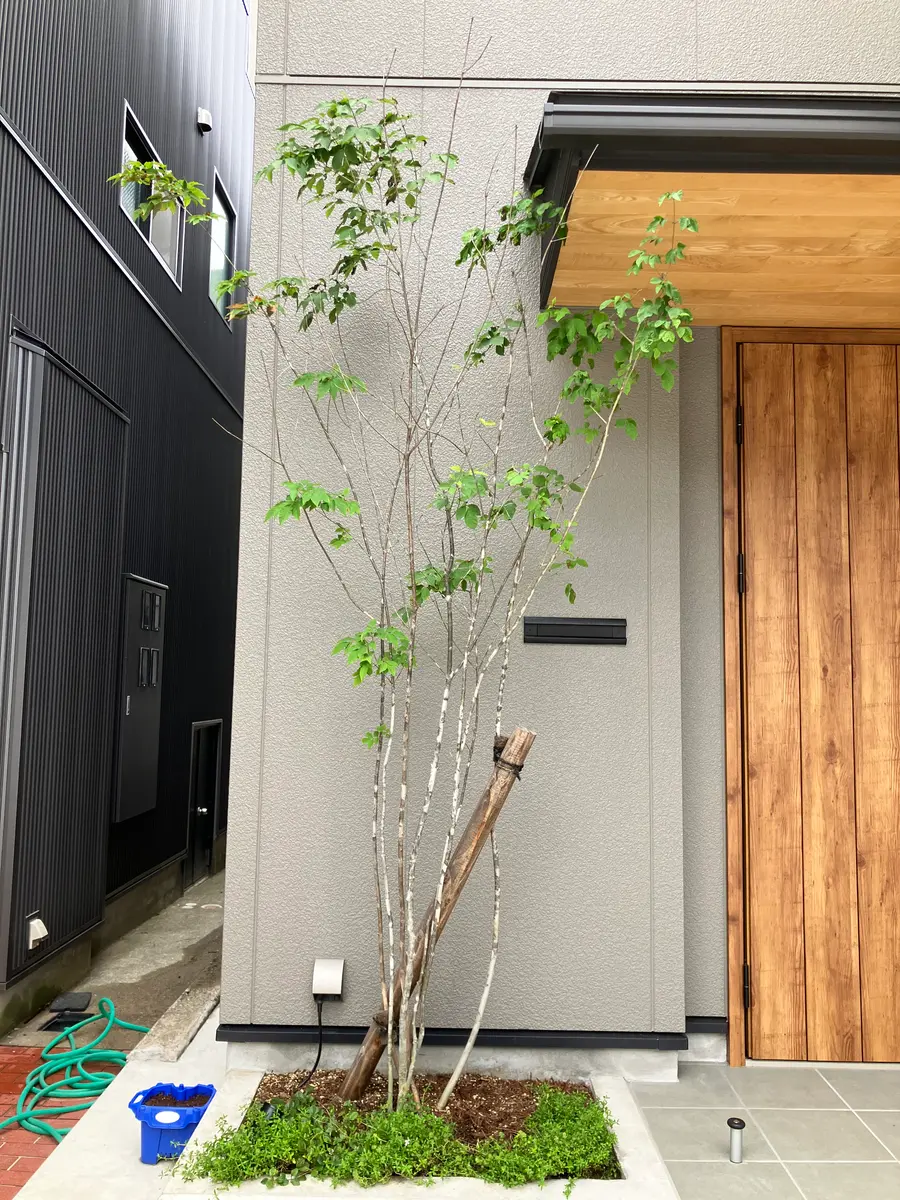 アオダモ全国ガーデン情報サイト「お庭の窓口」