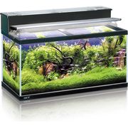 水槽用 熱帯魚 金魚 水冷却器 120W AC 220V コンパクト 静かな金魚飼育セット