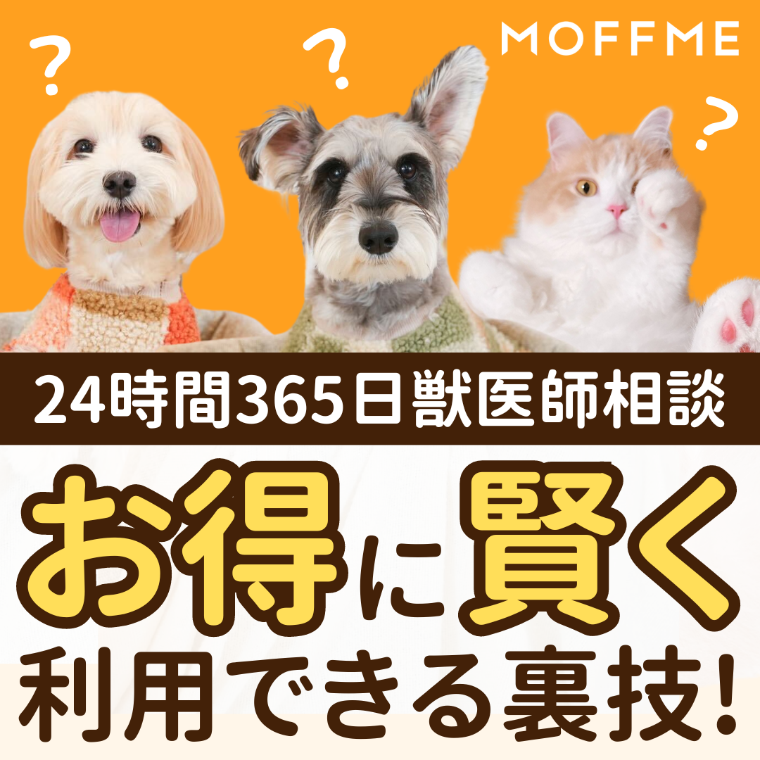 タマネギ中毒＜犬＞みんなのどうぶつ病気大百科