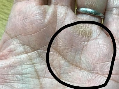 薬指下に四角手相と縦線TikTok