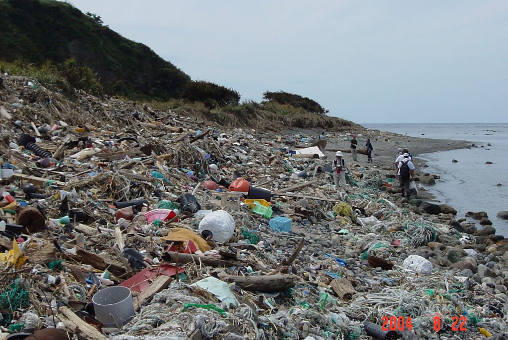 海洋プラスチックごみ問題解決へ スタートアップ創出後押しを日経BizGate