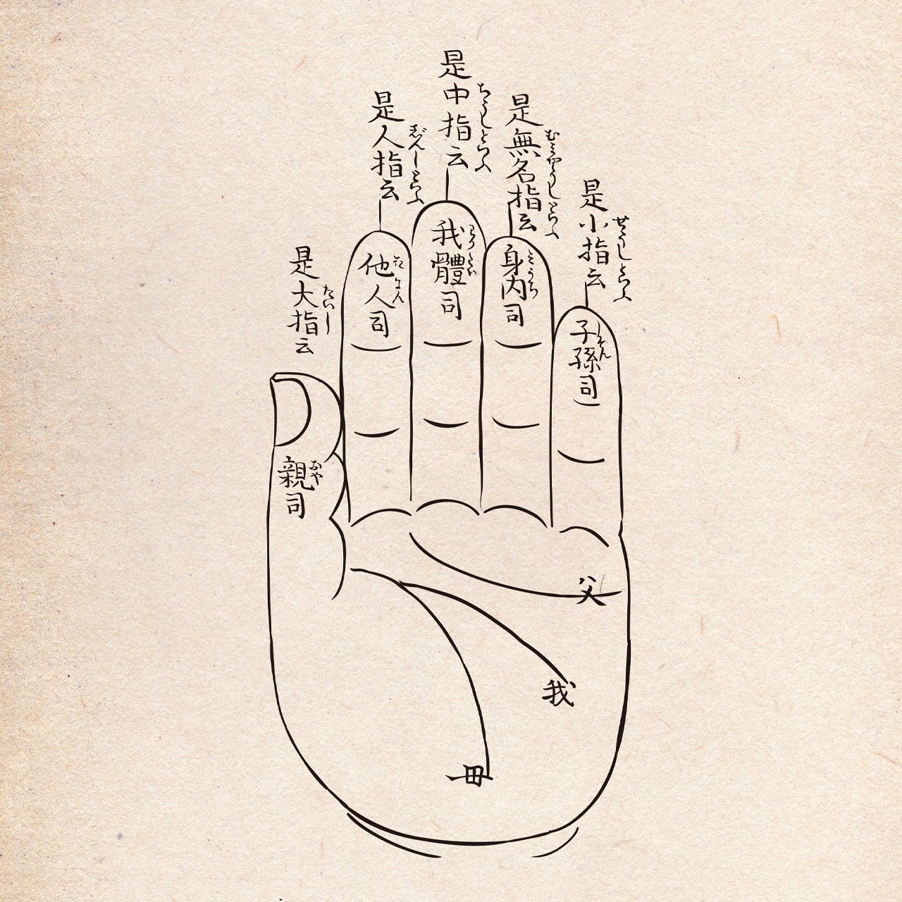 手相講座 線が多い人、少ない人、薄い人、濃い人の性格は？手相YouTuberコウBlog