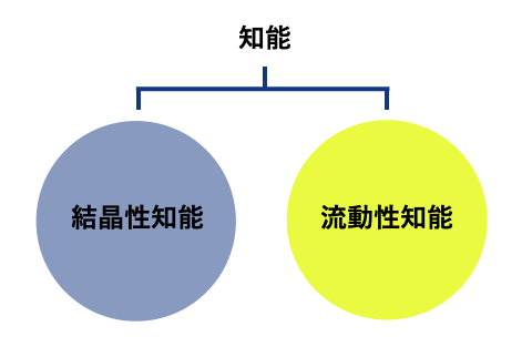 50代で学び直しはもう遅い？社会人におすすめのスキルや資格をご紹介