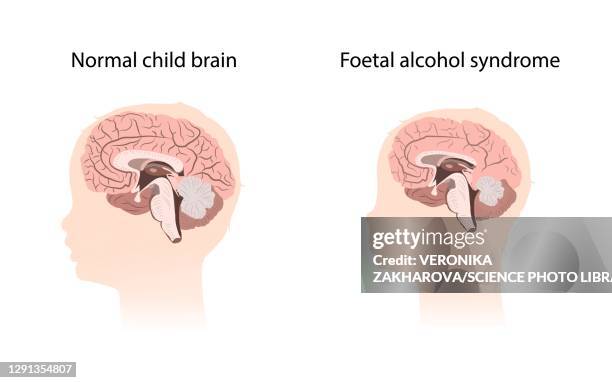 第7回 和酒フェス@大阪ベイタワー 2024年4月13日 土 、14日 日in大阪 - パスマーケット
