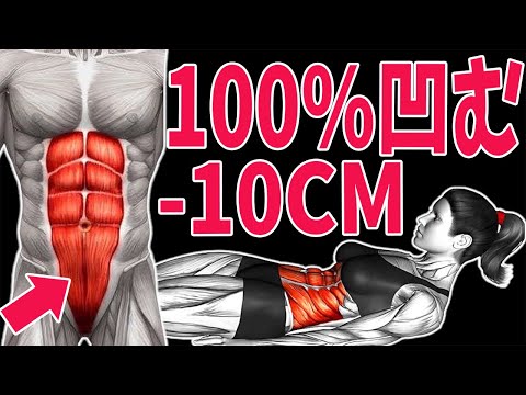 TurtleFitness - YouTube