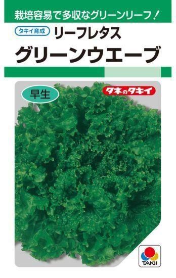 レタスの保存方法と選び方！長持ちさせる方法を紹介キッコーマンホームクッキング