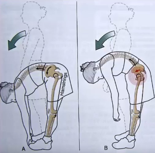 究極のヨガ後屈法！＜後屈が劇的にやりやすくなる！＞ 筋調整ヨガの中井まゆみが教える！ - YouTube