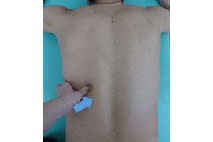 50点を超える浮遊肋 イラストのストックフォト、写真、そしてロイヤリティフリーの画像 - iStock