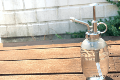 ウリハムシ被害の特徴・生態と防除方法やまむファーム