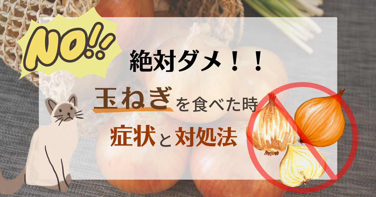 獣医師監修 猫に玉ねぎを与えてはいけない理由とは？引き起こされる症状や対処方法などを徹底解説