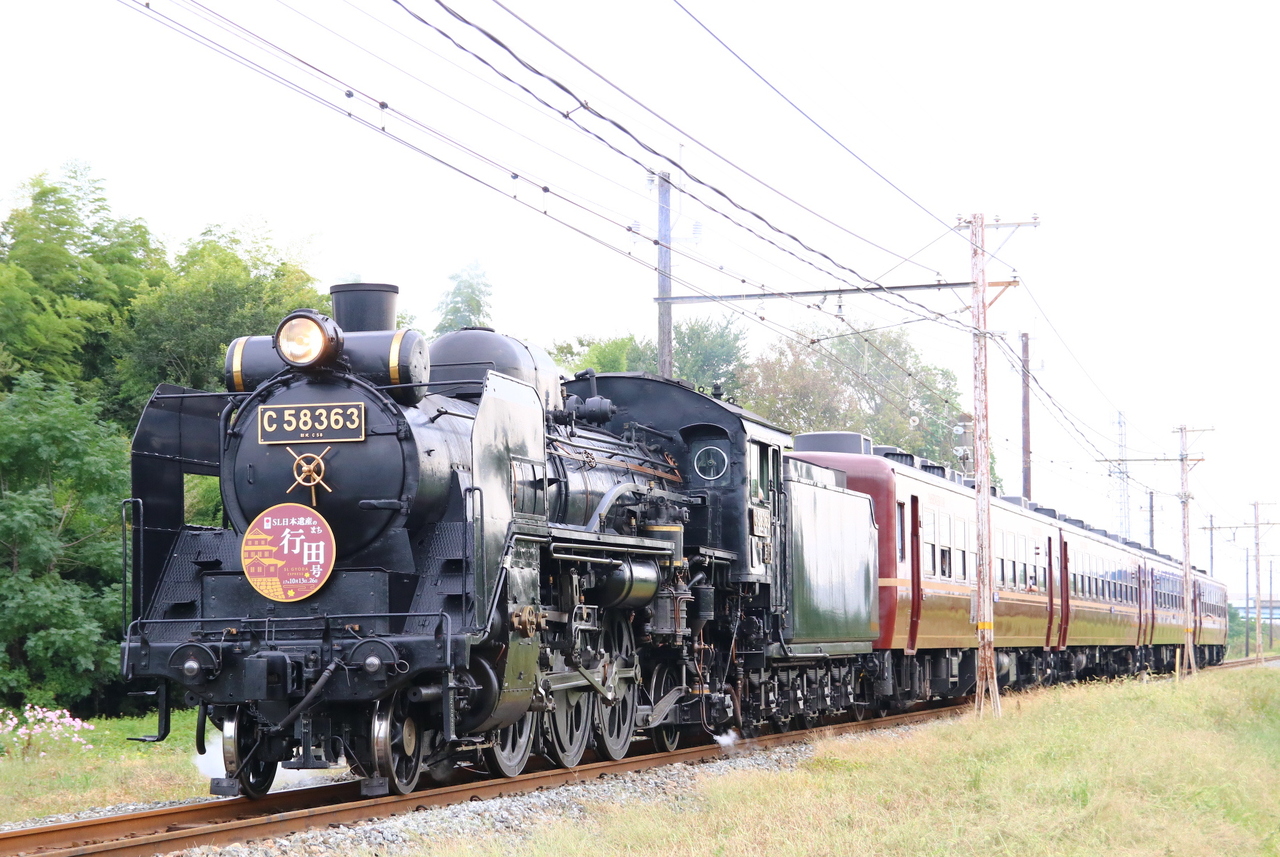 新しく投稿されたイベント写真 22枚目- 鉄道コム