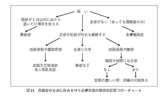 老人性乾皮症介護現場の用語集花王プロフェッショナル 業務改善ナビ 介護施設