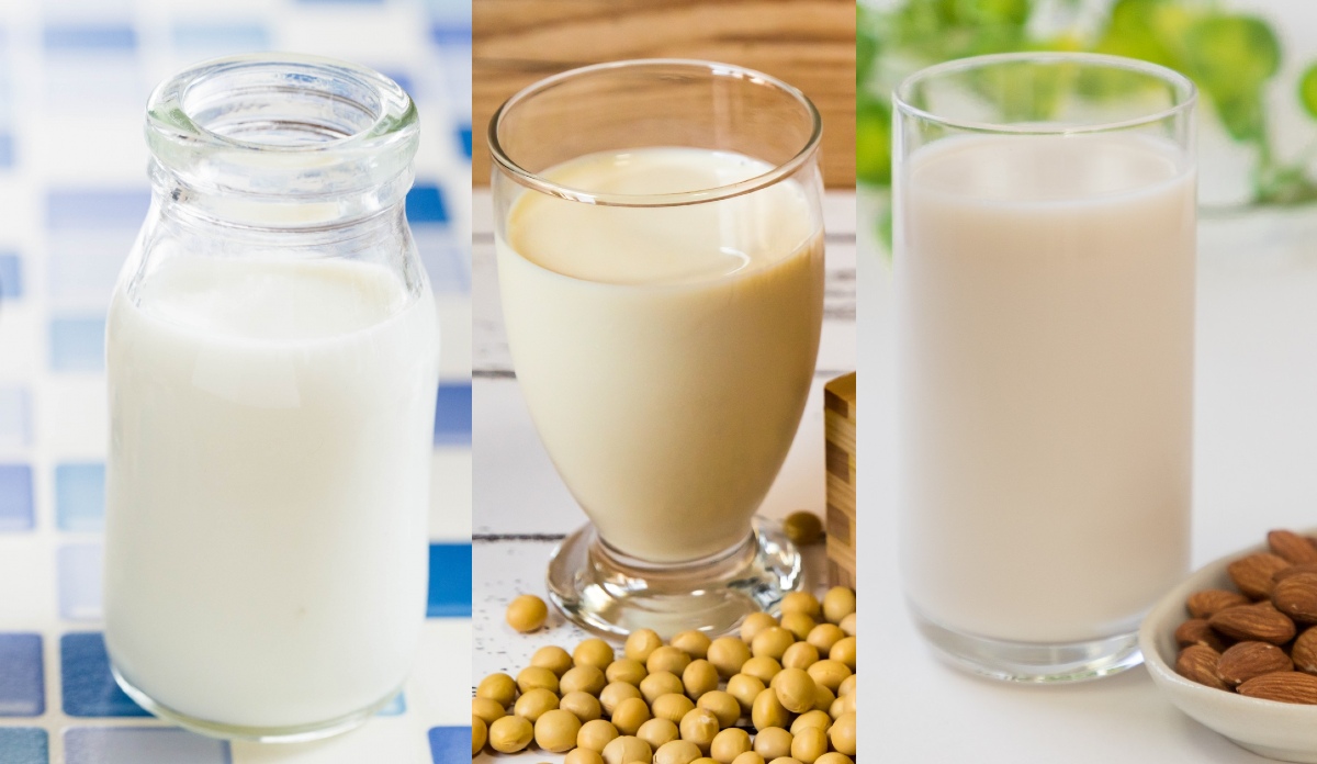 飲み比べ 豆乳 キッコーマン 調整豆乳 特濃調整豆乳 砂糖不使用調製豆乳 1000ml×3ケース 飲料 ドリンク 豆乳 紙パック たんぱく質 健康トクホ岐阜県瑞穂市ふるさと納税サイト「ふるなび」