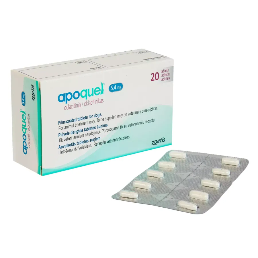 犬の皮膚病に効果あり？犬に使える人間の塗り薬をご紹介