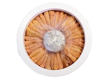 有機しらたきと生たらこ 助子 の煮物 –Organic Recipeオーガニックレシピ